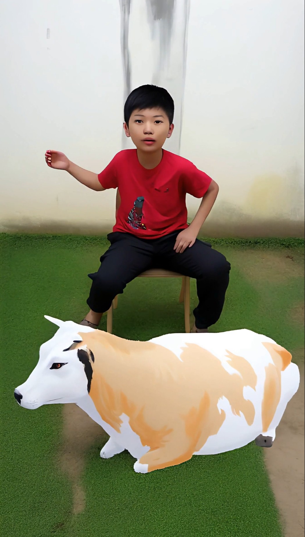 FARM ANIMAL FIGHTING - Animation