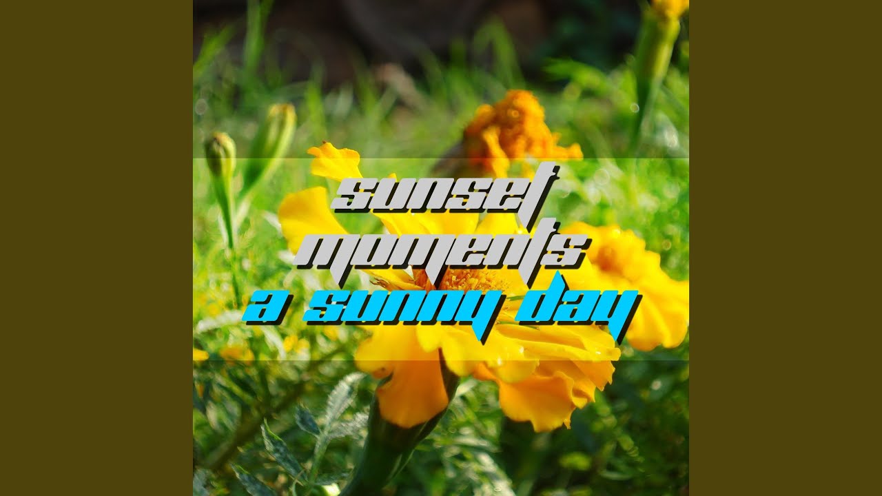 Watch Perfect Summer on YouTube Watch Perfect Summer on YouTube
