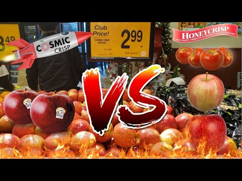 Cosmic Crisp Apple Review | VS Honey Crisp VS Fuji VS Envy Apples