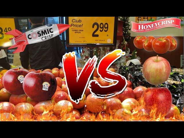 Taste Test - Apples to Apples - Honeycrisp or SweeTango? • Salt