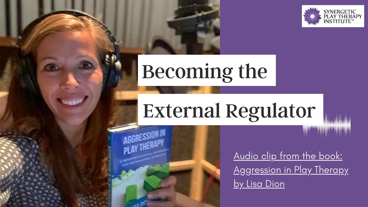 📚 From the Book - Aggression in Play Therapy: Becoming the External Regulator 🎧