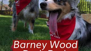 Bark Park Grand Opening 2019