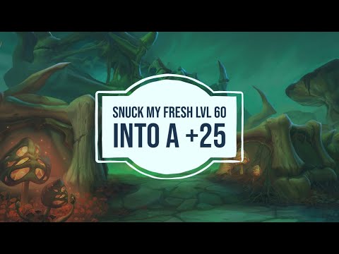 212 ilvl Kyrian Hpal +25 Plaguefall