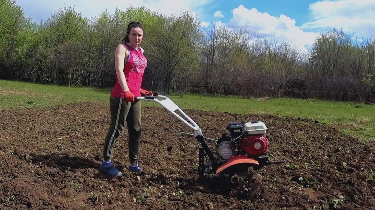 Wer hat denen das Gärtnern beigebracht? Das echte Dorfleben ganz nah