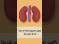 কিডনির সমস্যা হলে যে কারণে রক্তশূন্যতা হয়#kidneyhealth #blood #anemia #health #kidney #medical
