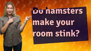 Do hamsters make your room stink?