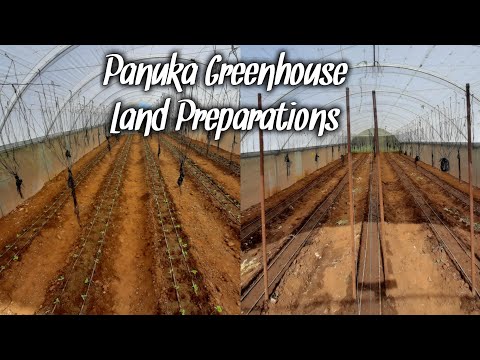 Video: Greenhouse Land - How To Cook?