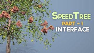 SpeedTree - Training Series - 001 - InterFace