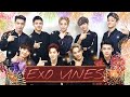 EXO vines to welcome the new year 🎇