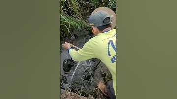 Alat Pertanian Kreatif Pengusir Hama Padi