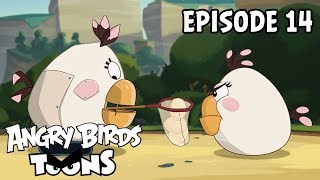 Angry Birds Toons | RoboTilda  S3 Ep14