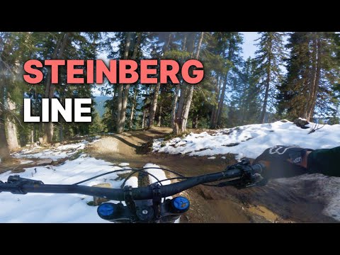 Steinberg Line by