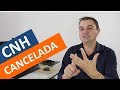 HABILITAÇÃO VENCIDA POR MAIS DE 30 É CANCELADA #MitoOuVerdade