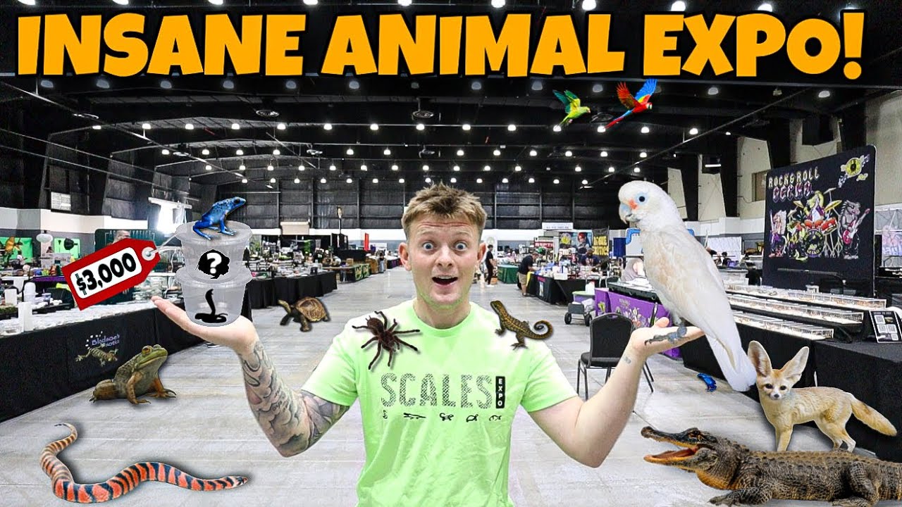 ПОКУПАЮ ЧЕТЫРЕ НОВЫХ ЖИВОТНЫХ ИЗ ЭТОГО ШОУ РЕПТИЛИЙ!