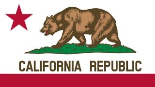 50 U.S. State Flags - IN 3 MINUTES !!!