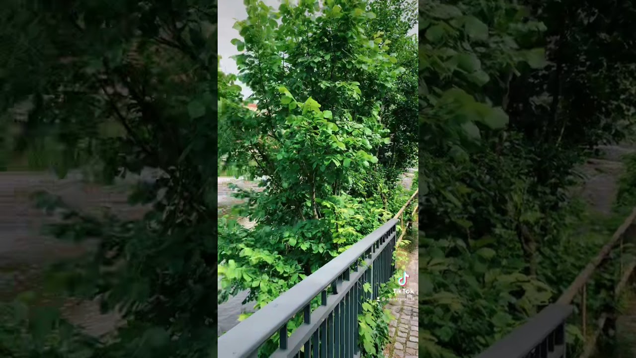 Путешествуй вместе с нами - Баутцен (2часть) #Germany#Bautzen#Sachsen#Kraskitour#чтопосмотреть#