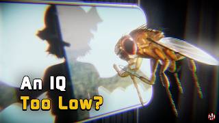 Stupid Fly Listens to Bad Apple in its Brain [Blender]