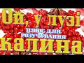 Ой у лузі калина ( плюс для розучування )