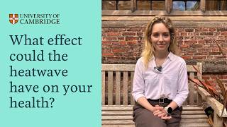 Wildfires and heatwaves Dr Kim van Daalen on public health impact