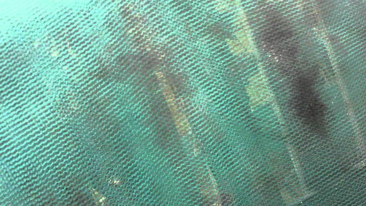 Cumbria Airsoft YouTube