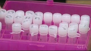 Selecting Diamonds for Study