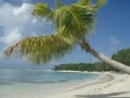 Mustique island home of Mick Jagger and David Bowie