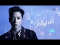 [Just Boice BR] Jung YongHwa - Jellyfish [Legendado PT-BR]