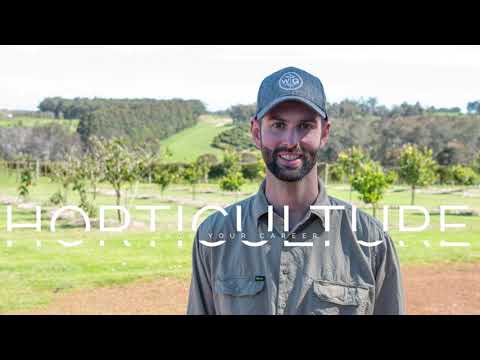 Horticulture – grow your career: Horticulture Grower (Mitchell East, Willarra Gold)