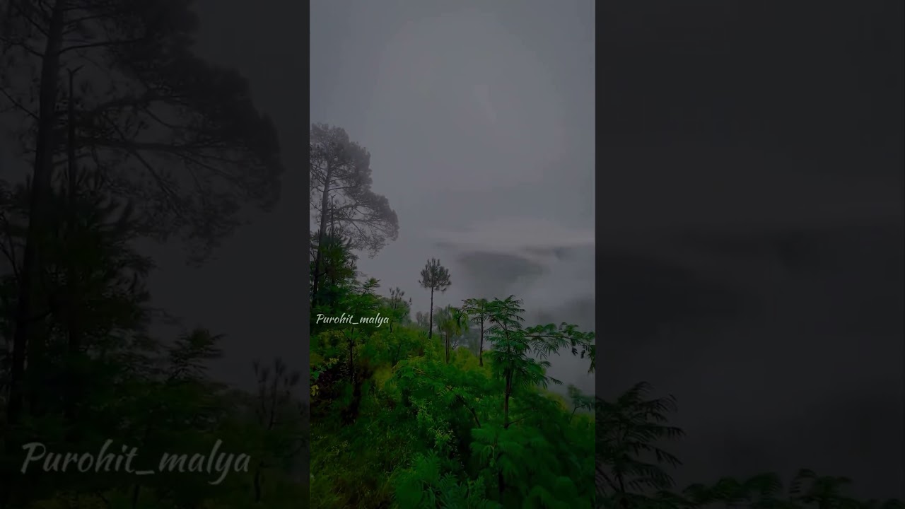 🖤 Nature