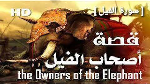 سورة الفيل تلاوة هادئة تريح الأعصاب | قصة أصحاب الفيل The Owners of the Elephant