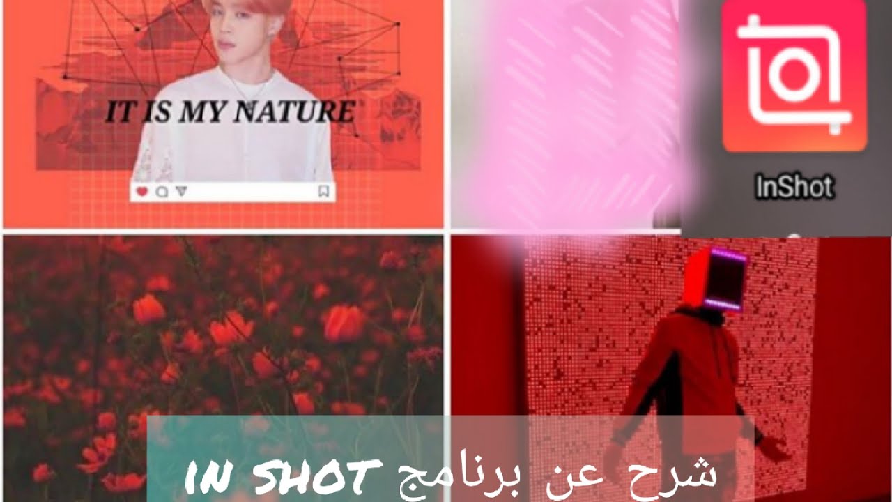 برنامج In شرح عن برنامج in shot 💜👑 - YouTube