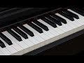 Blind Test (Digital Piano Comparison): Yamaha vs. Casio vs. Roland