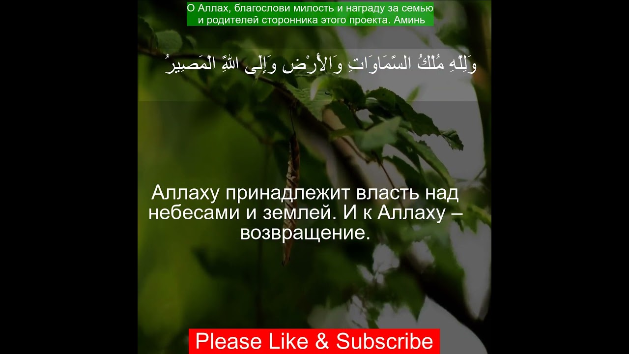 Коран Сура Ан Нур - Свет | 