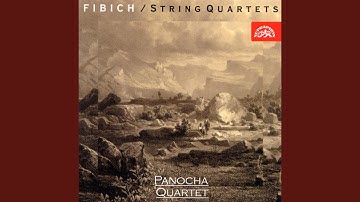 String Quartet No. 1 in A major - Allegro grazioso