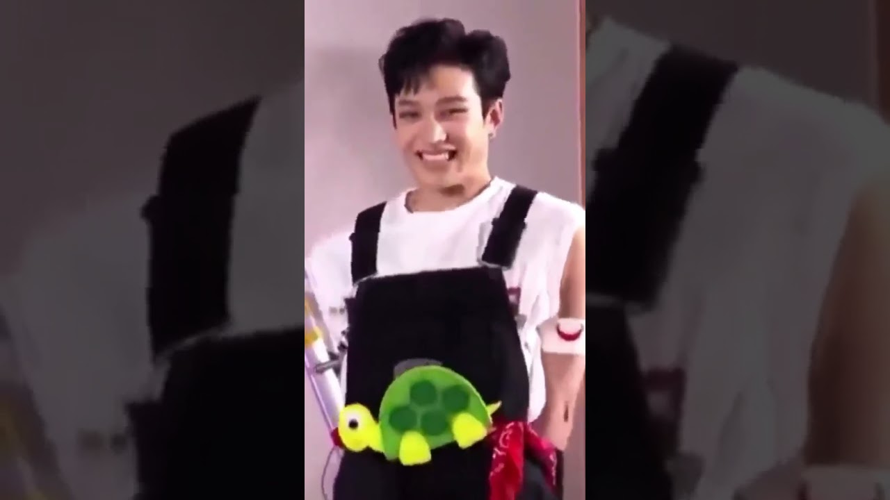 Stray Kids | Happy Chan