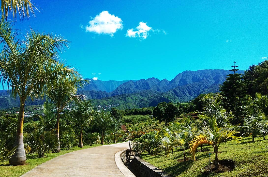 La Reunion Unruhen La Reunion Unruhen