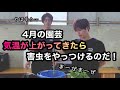 〈出てからじゃ遅いんです!〉害虫と病気の予防をまとめて対策!※注意事項多数※