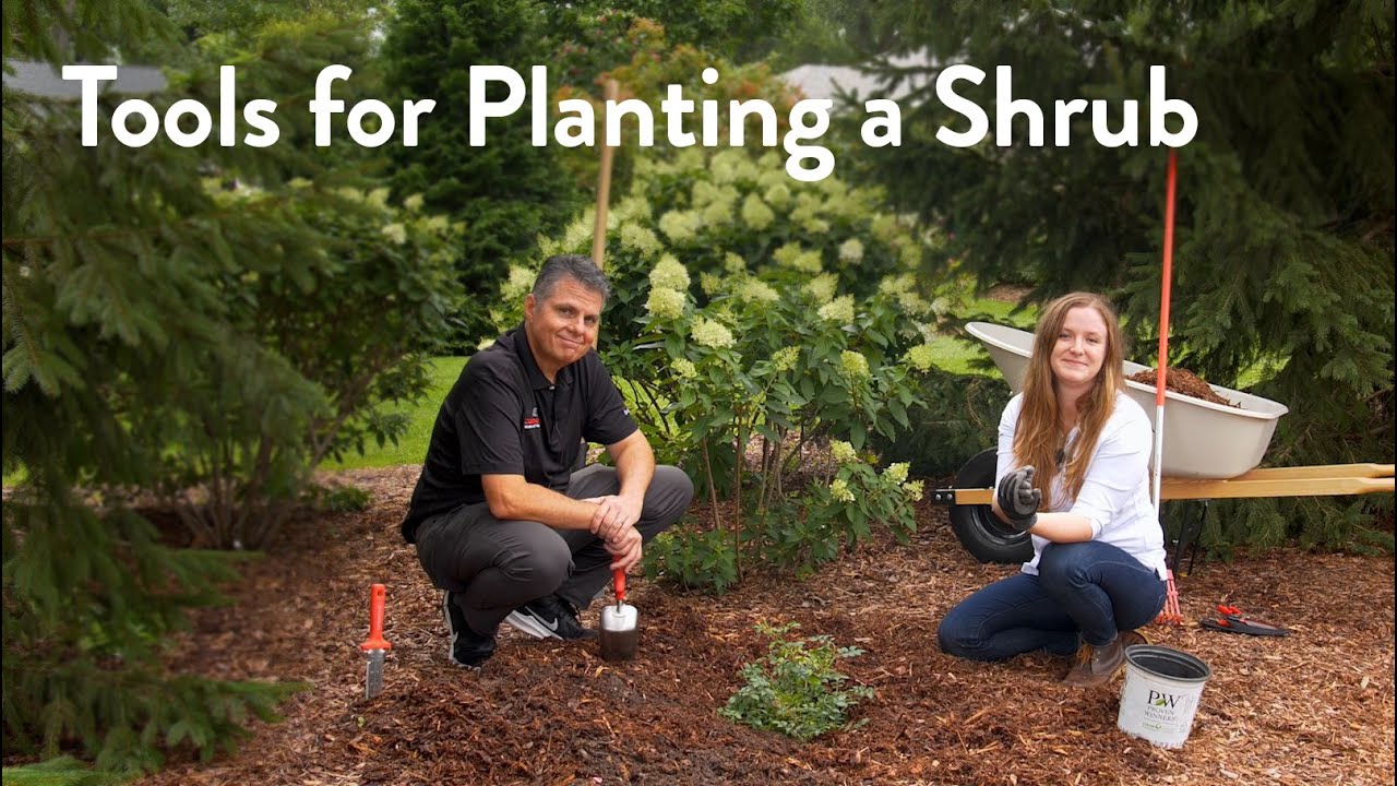 The Best Tools for Planting a Shrub YouTube