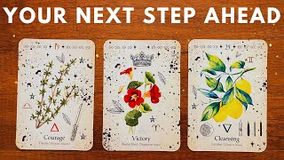 🌟🔮 YOUR NEXT STEP AHEAD⚡️MESSAGES FROM YOUR SPIRIT GUIDES ✨☺️Timeless Pick A Card Tarot Reading