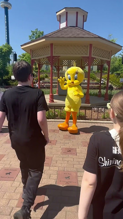 Six Flags IL May 21 2023 Meeting Tweety