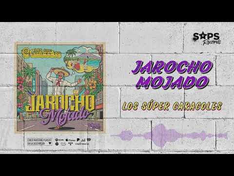 Los Súper Caracoles - Jarocho Mojado (Audio Oficial)
