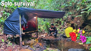 Surviving alone in the forest building shelters and making squirrel snares 🔥⛺️