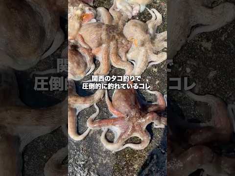 電撃でタコの脳を刺激する。#short #shorts