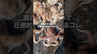電撃でタコの脳を刺激する。#short #shorts