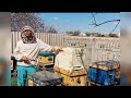 Однорамочний відводок  бджіл в ППУ вулику фірми "Бджоляр"