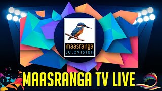 🔴Maasranga TV Live Streaming | Maasranga TV Live | মাছরাঙা টেলিভিশন 🔴 screenshot 2