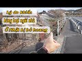 #154 | LÝ DO KHIẾN HÀNG LOẠT NGÔI NHÀ Ở NHẬT BỊ BỎ HOANG
