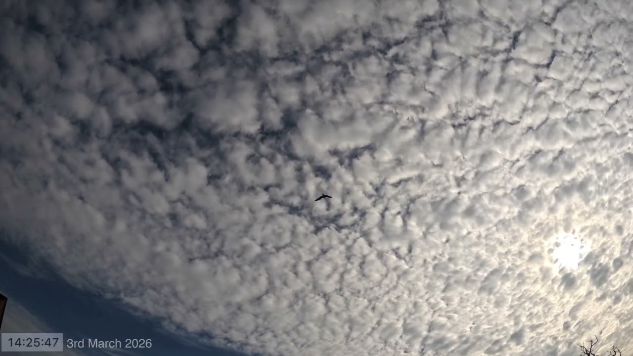 Daytime Sky Time Lapse 3rd March 2026