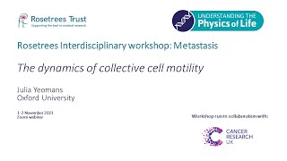 Julia Yeomans (Oxford University) 'The dynamics of collective cell motility'