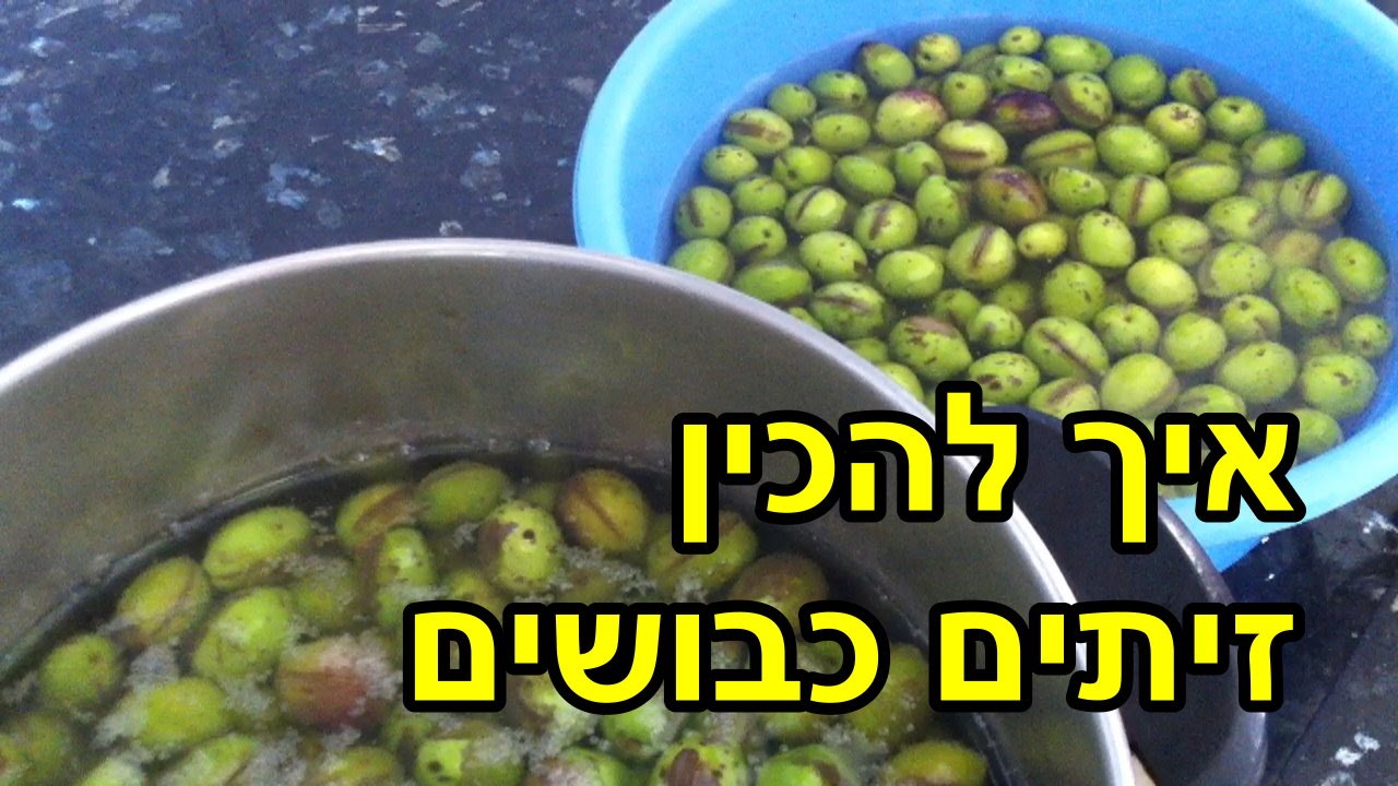 איך להכין זיתים כבושים במלח - מתכון מצולם בוידאו